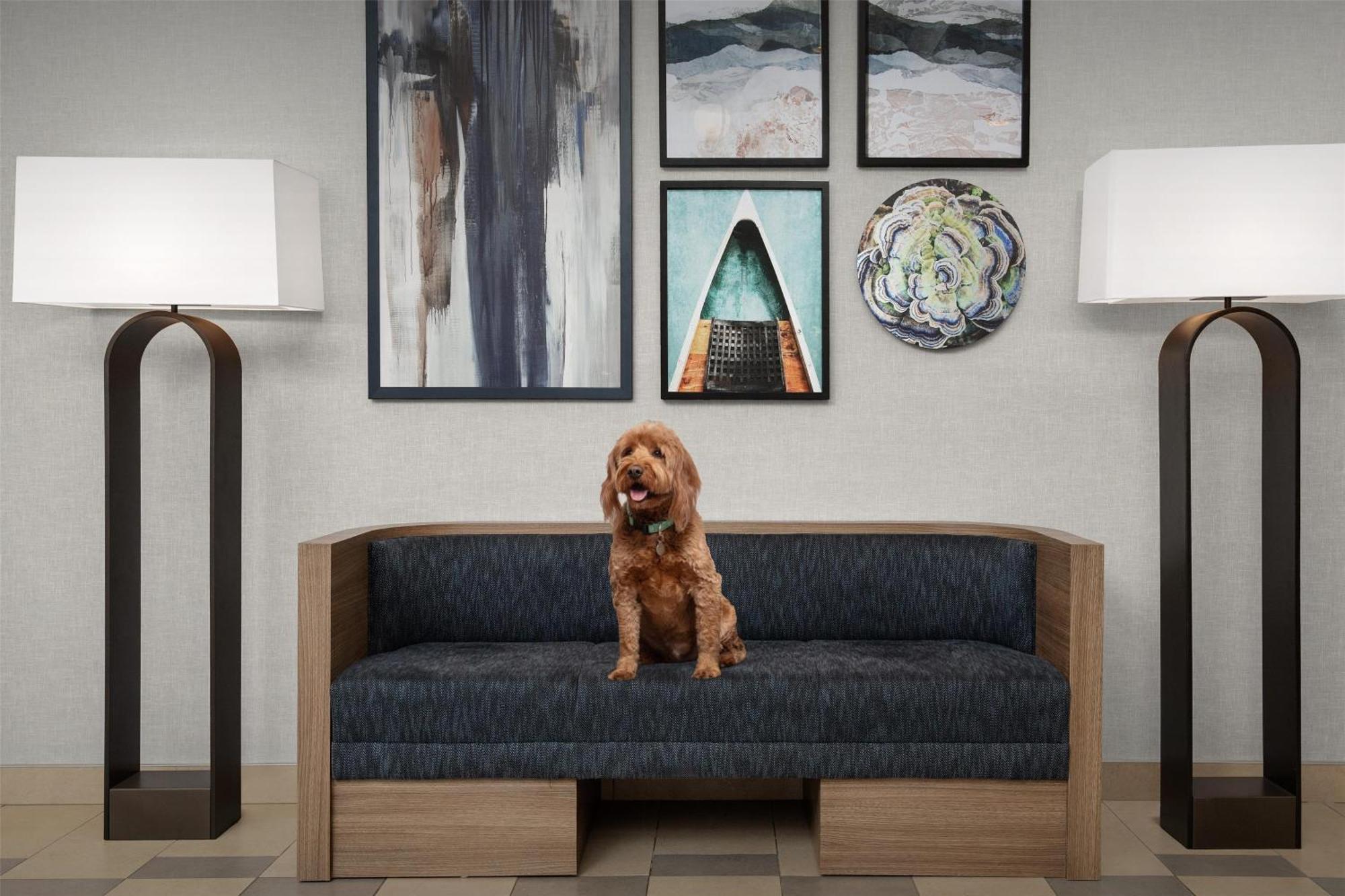 Hotel Homewood By Hilton Seattle/lynnwood